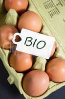 Bio Eier