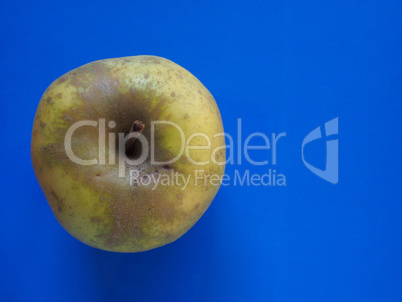 green apple fruit food over blue with copy space