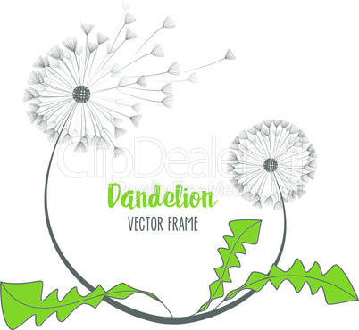 Vector dandelion flower