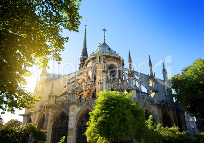 Notre Dame at sunrise