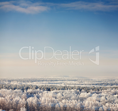 winter landscape with blue sky