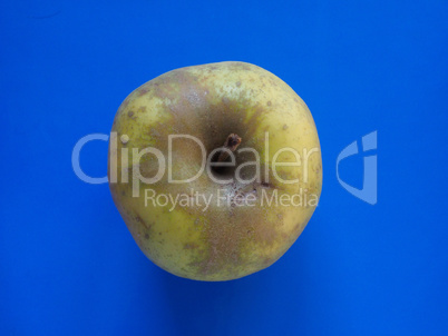 green apple fruit food over blue with copy space