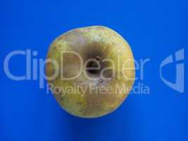 green apple fruit food over blue with copy space