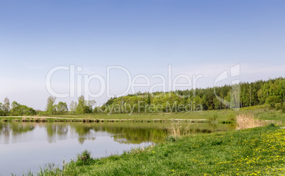 A large beautiful lake, with banks overgrown with reeds.