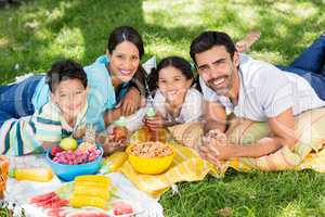 Portrait of happy family enjoying together in park