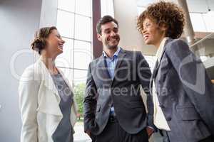 Cheerful business executives having a discussion