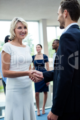 Business executives shaking hands with each other Business executives shaking hands with each other