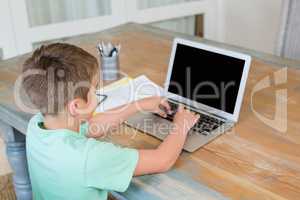 Boy using laptop at desk