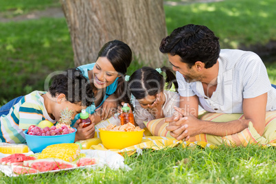 Happy family enjoying together in park