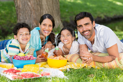 Portrait of happy family enjoying together in park