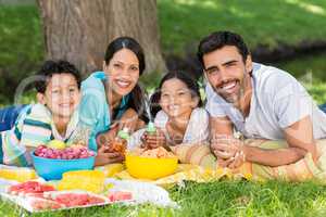 Portrait of happy family enjoying together in park