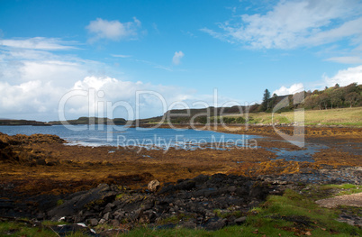 Scotish landscape