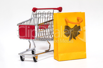 Shopping cart and bag