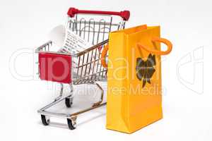 Shopping cart and bag