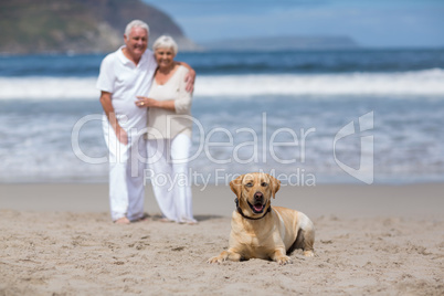 Senior couple standing on the beach with dog