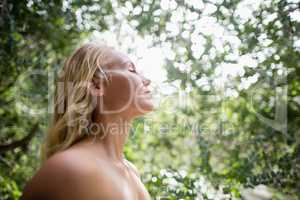 Beautiful woman meditating against bright sunlight