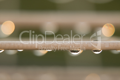 Raindrops on the washing line