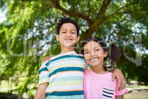 Portrait of two siblings standing together in park