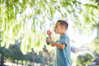 Boy blowing bubbles in park