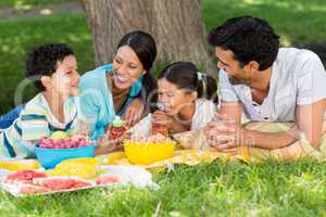 Happy family enjoying together in park