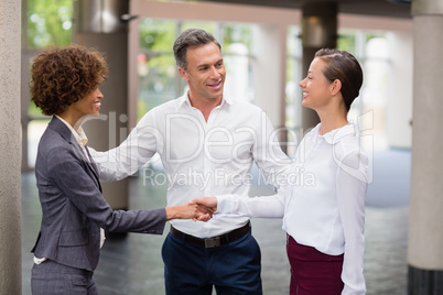 Business executives shaking hands with each other