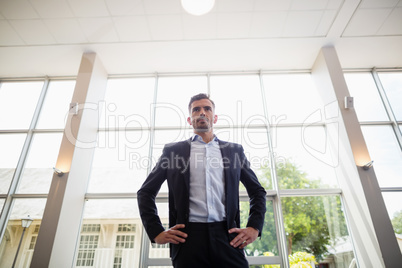 Businessman standing in conference centre