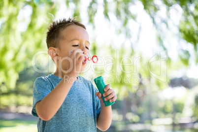 Boy blowing bubbles in park