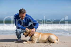 Mature man with his dog on the beach