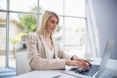 Businesswoman using laptop