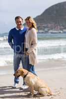 Mature couple on the beach with their dog