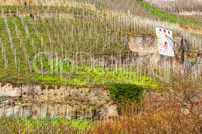 Zeltinger Sonnenuhr in dem Weinbauort Zeltingen