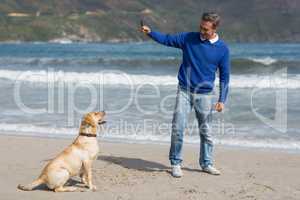Mature man playing with dog on the beach