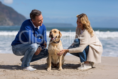 Mature couple petting their dog