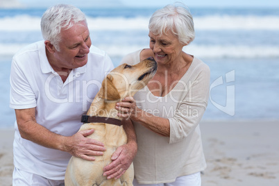 Senior couple playing with their dog on the beach