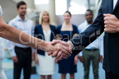 Business executives shaking hands with each other