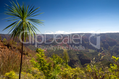 Waimea Canyon