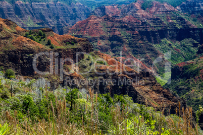 Waimea Canyon