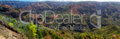 Waimea Canyon