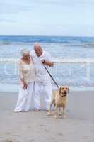 Senior couple walking on the beach with dog