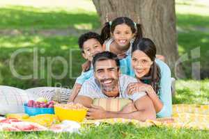 Portrait of happy family enjoying together in park