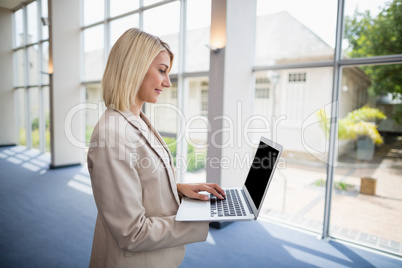 Businesswoman using laptop