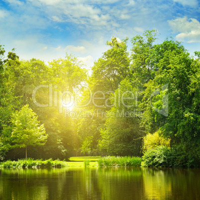 picturesque lake, summer forest on the banks and the sunrise