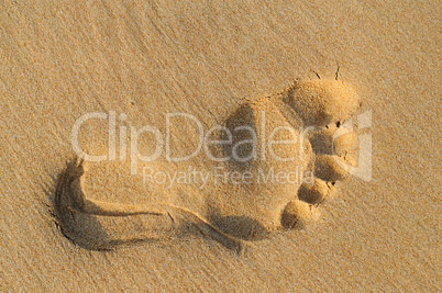 imprint of human feet on sandy beach
