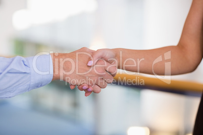 Business executives shaking hands with each other