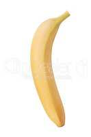 raw Yellow Banana Isolated