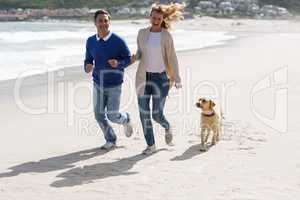 Mature couple walking on the beach with their dog
