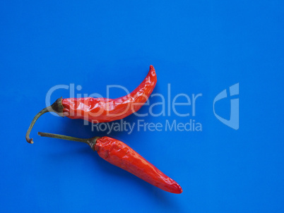 hot chili pepper vegetables over blue with copy space