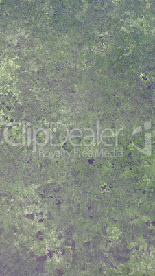 Grey concrete texture background with moss - vertical