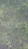 Grey concrete texture background with moss - vertical