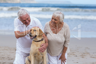 Senior couple playing with their dog on the beach